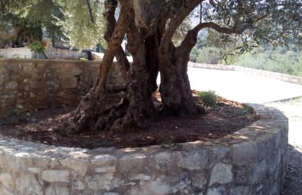 Tzitzifes Stone Mansion - Foto 34