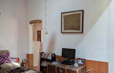 Monte das Aranhas - Foto 50