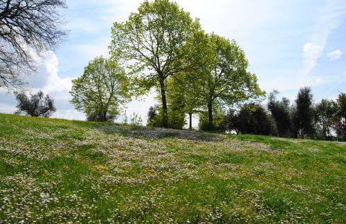 Agriturismo Cornieto - Foto 14