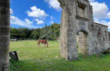 Les Maisons de Lessac - Foto 16