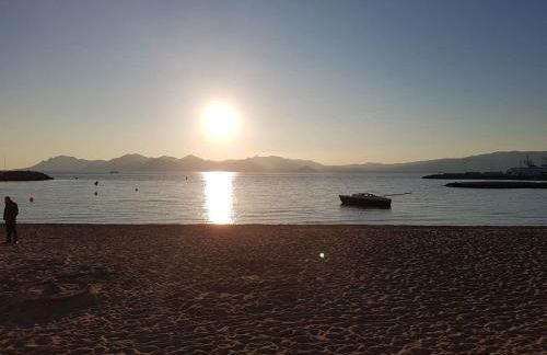 Cannes près Croisette beau 2 pièces 3 étoiles - Foto 67