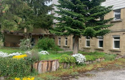 FeWo&MoWo Zur Mühle Reinhard - Foto 25