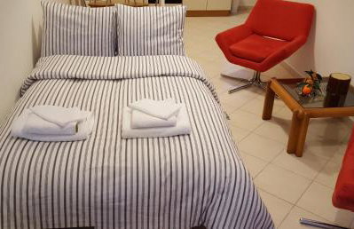 Patras Palm Tree - Foto 47