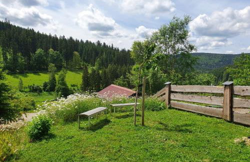 Naturhaus am Wald im Erzgebirge - Foto 35