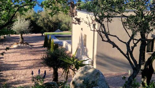 Un air de paradis à Corbara - Foto 2