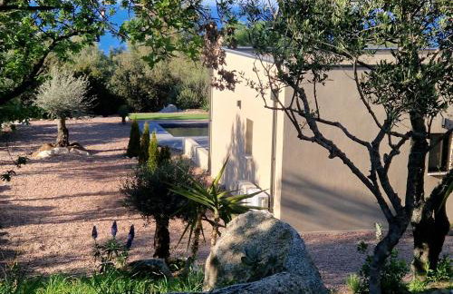 Un air de paradis à Corbara - Foto 2