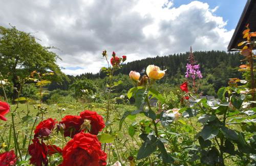 Ferienhaus, Medebach - Foto 57