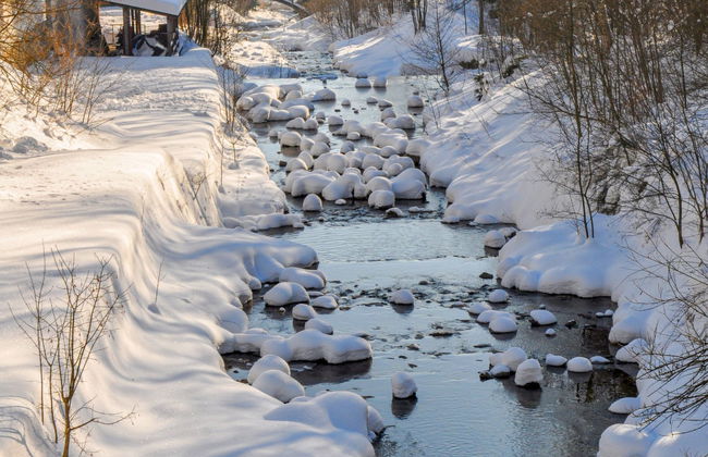 Hora Jizera - Photo 23