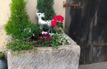 MA ROSE DES LUMIERES maison indépendante 6 personnes avec grande cour - Foto 18