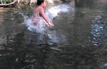 L'Olivier Fleurie Barjols - Foto 11