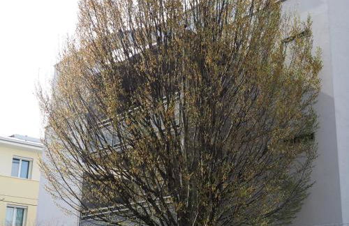 Alloggio il Melograno - Foto 30