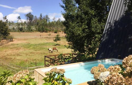 Vale da Silva Villas - Quinta - Foto 7