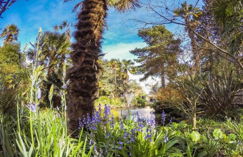 PRINCES COURT by BOURNECOAST- Holiday Apartment with Patio Garden, Parking and WIFI - FM8455 - Foto 45