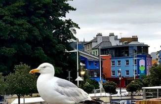 Beautifully appointed, period seaside apartment - Foto 35