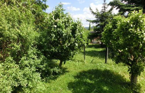 Ferienhaus in Cattenstedt Harz mit Garten - Foto 25