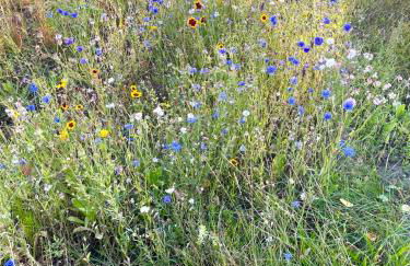 HORAMI Villa - ORIGAMI Apartment mit Terrasse - Foto 2