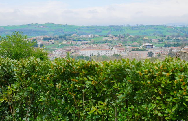 Masseria Fontana dei Fieri - Foto 65