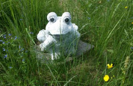 Übernachten in unseren Crutpracht Gästezimmern mit großem Bauernfrühstück, ab April 24 auch in der DUFFEL-SCHEUNE - Foto 37