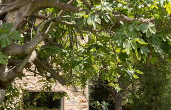 La Bergerie - Photo 25