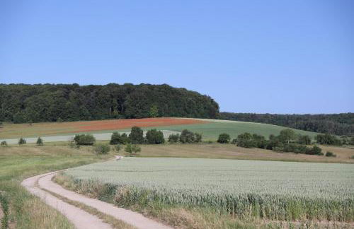 Ferienwohnung Ragwurz - Photo 7