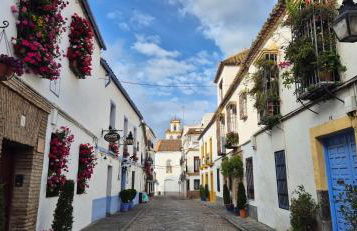 Puerta a los Patios - Foto 29