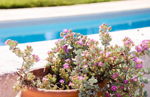 Casa Oleandra - Foto 21