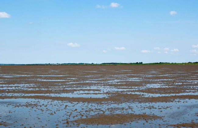 Fereienhaus Mellumplate - Photo 15