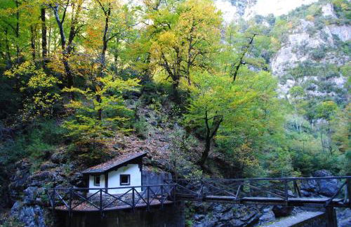 Casa Pirinea Ordesa - Foto 44