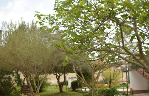 Apartment Ivy - Foto 30