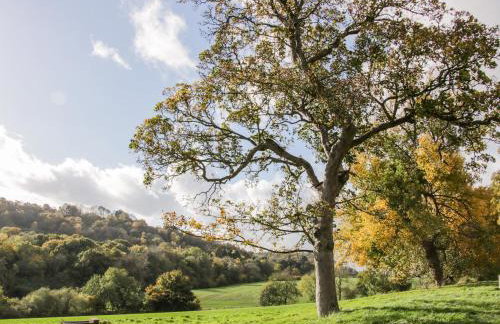 Conkers' Cottage - Photo 26