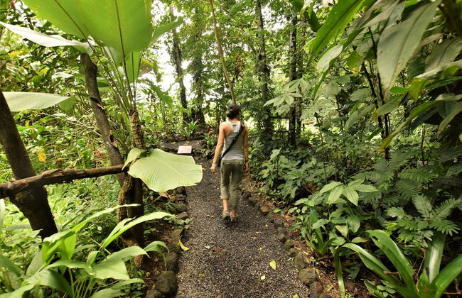 Cabañas del Rio - Foto 20