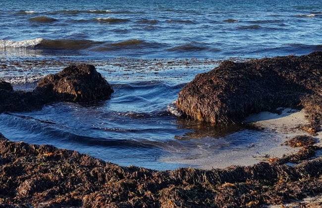 6 Person Holiday Home in Hojby - Photo 37