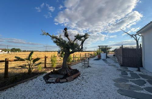 Casa Sítio do Vale, Alandroal - Foto 16