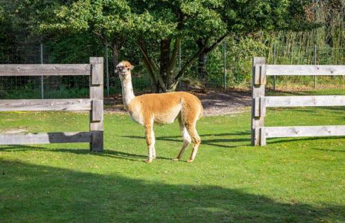 Ferienwohnung Böttcher - Photo 20