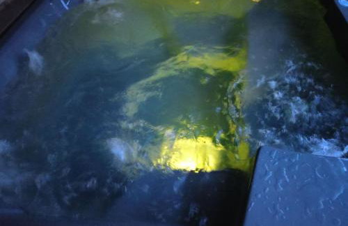 TOŁHAJÓWKA - Foto 3