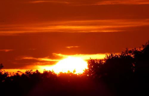 Zum Froschteich - Foto 7