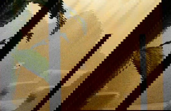 Villa Anina - Photo 20