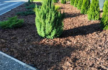 Domek pod lasem - Photo 20