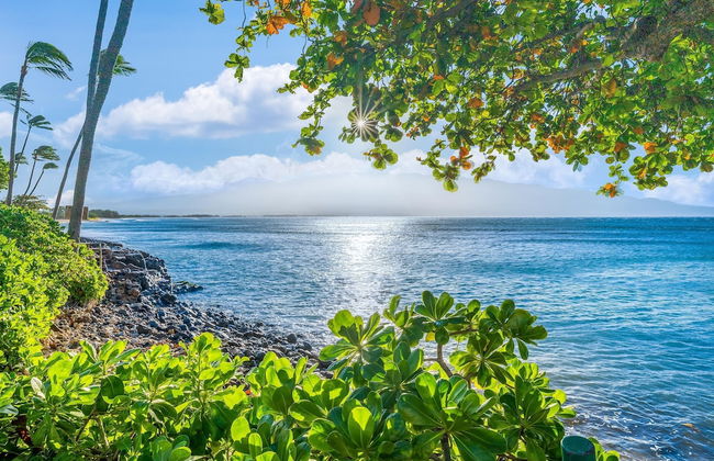 Kanai A Nalu 211 in Wailuku - Foto 41