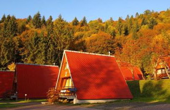 Perełka Bieszczady Domki - Photo 78