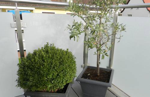 Ferienwohnung Burgenblilck - Photo 16