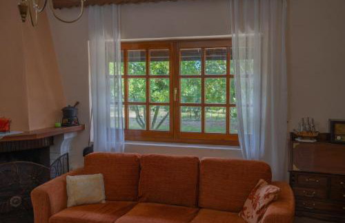 Nikola's Garden - Foto 9