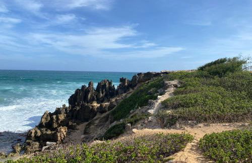 Puu Poa Ocean Bluff Condo, Incredible Views, Walk to Beaches, Pool & Tennis - Foto 58