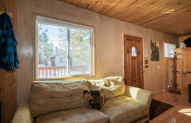 Bear Pause - Foto 14