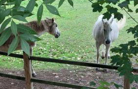 Appartement avec parking - Foto 12