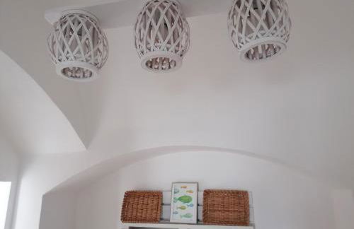 Albero di giada - Foto 26