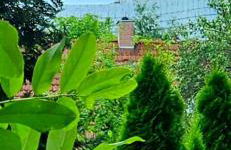 Johnis FeWo, Nähe Stadtzentrum - Uni in sehr ruhiger Lage mit Terrasse und eigenem Parkplatz - Foto 25