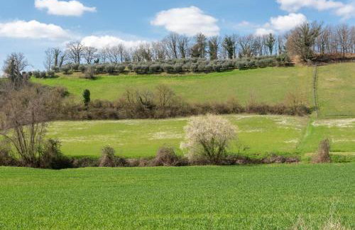 Depandance Resort - Photo 17