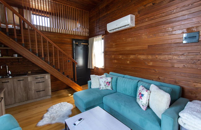 Malak Farma - Foto 13