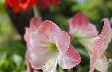 Denis Apartment - Photo 42